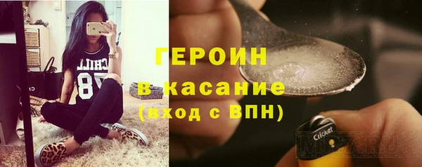 индика Каменка