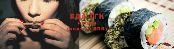 индика Каменка