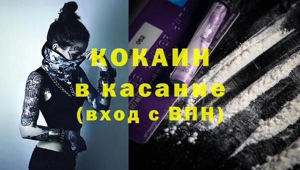 индика Каменск-Шахтинский