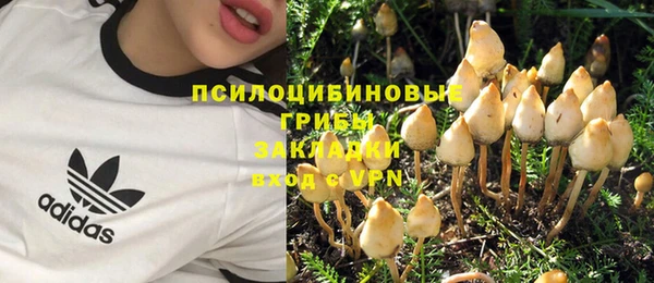 бутират Инта