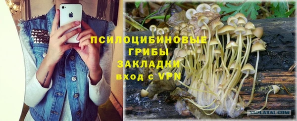 бутират Инта