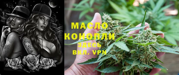 индика Каменка