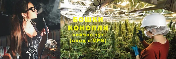 бутират Инта