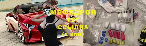 индика Каменка